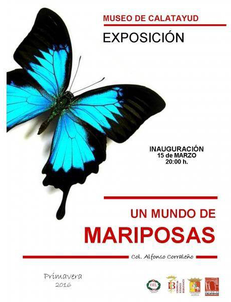 18-mariposas